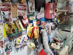 -读宠于你·约克夏比熊·睫角守宫·爬宠售卖(高新店)