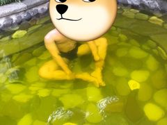 -杭州第一世界大酒店·云曼温泉