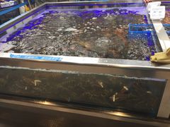 -盒马鲜生(大成店)