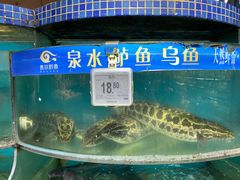 -新世纪超市(回龙路店)