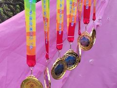 -梧桐山风景名胜区