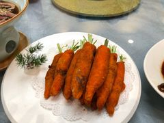 -丁老爷子苏香圆