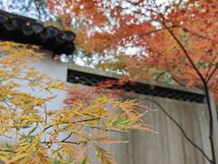 -狼山风景名胜区