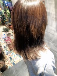 -T.1 hair salon烫染接发