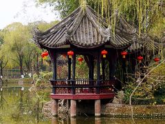 -桂湖森林公园