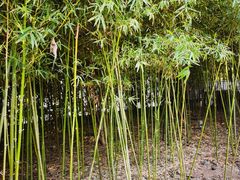 -北纬37°SPA养身会馆(湖西店)