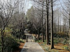 -新江湾城公园