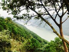 -铁山坪森林公园