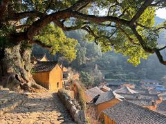 -杨家堂村