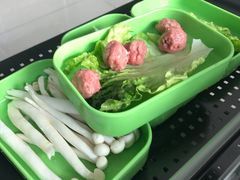 -蚝专家