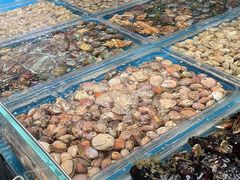 水产区-盒马鲜生(王府广场店)