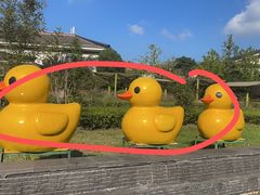 -苏州湾·王焰温泉