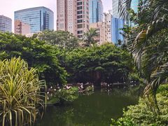 -九龙公园