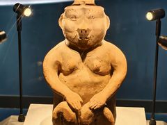 -广西壮族自治区博物馆