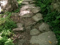 -王顺山国家森林公园