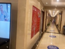 -碧莲盛·不剃发植发