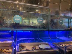 水产区-喜庭海鲜自助(来福士店)