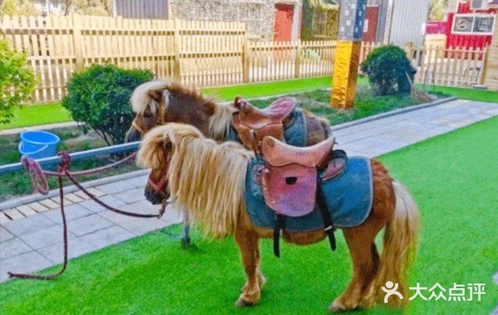 六一遛娃首选，9号萌宠亲子农场，六一优惠大促