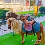 六一遛娃首选，9号萌宠亲子农场，六一优惠大促