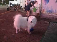 -招商银行(深圳东滨支行)