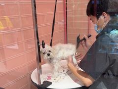-FAELING PETS美天灵宠物(合生汇店)