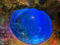 -沈阳海洋探索中心