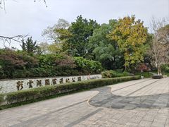 -重庆彩云湖湿地公园