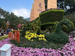 -南山植物园