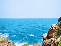 -广东惠东海龟国家级自然保护区