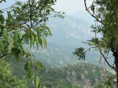 -阳台山自然风景区