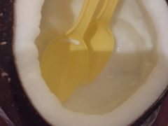 -志龙皇冠吃货椰子铺