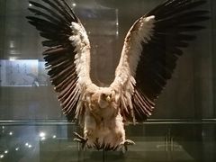 -青藏高原自然博物馆
