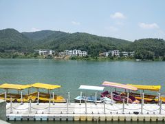 -蔡伦竹海