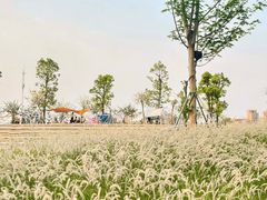 -佛山京华广场MALL