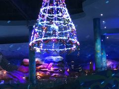 -青岛嘉年华主题乐园