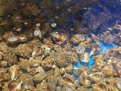 -四海蒸鲜蒸汽海鲜自助(北戴河店)
