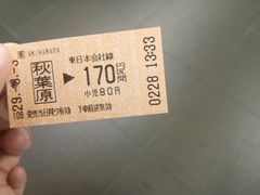 -秋叶原电器街