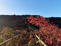 -水峪民俗村