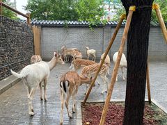 -北京野生动物园