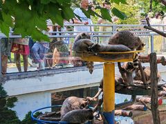 -西霞口神雕山野生动物世界
