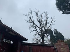 -金堂县云顶石城风景区