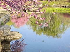 -燕郊植物园