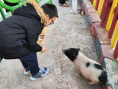 -塘沽森林公园