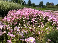 -汉长安城未央宫国家考古遗址公园