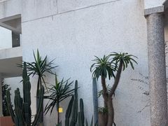 -the coffee_得咖啡(中英街店)