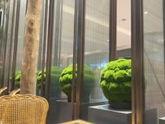 -大书房咖啡(中传国交店)