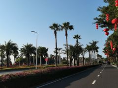 -黄金海岸环岛路