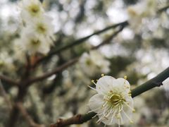 -盘门景区