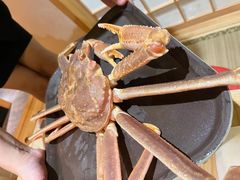 -松鱼亭·和牛烧肉(协鑫广场店)