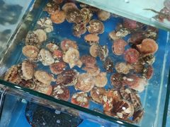 水产区-雅逸居海鲜小厨